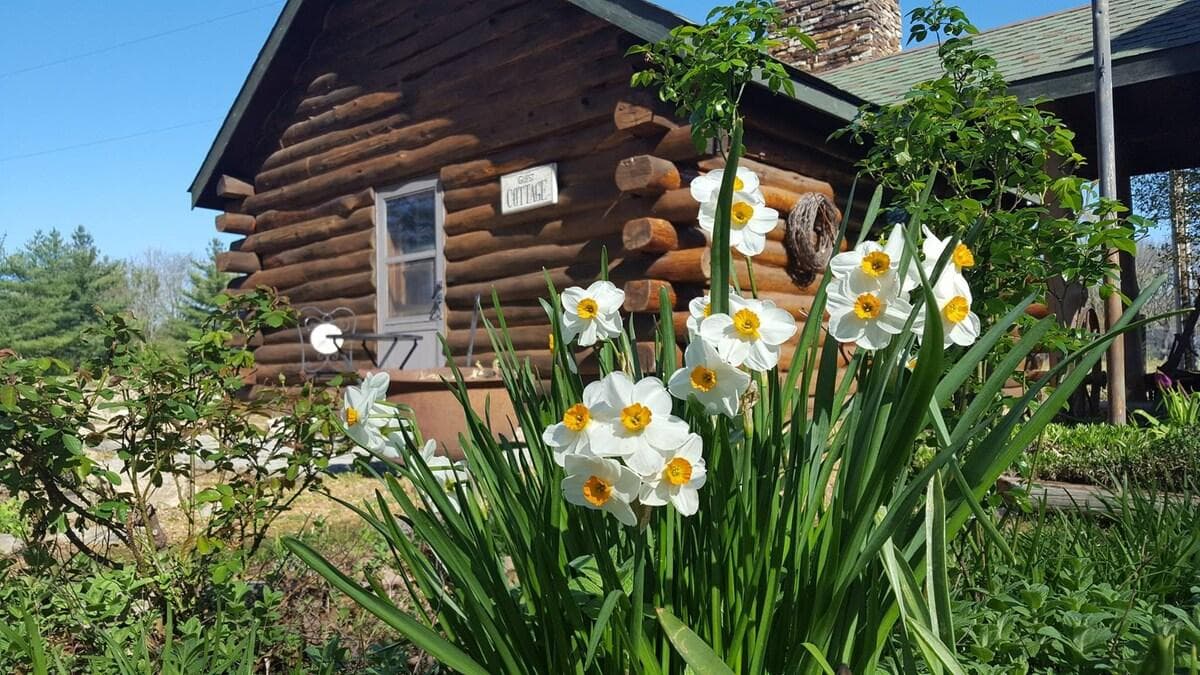 Westerfield Cottage